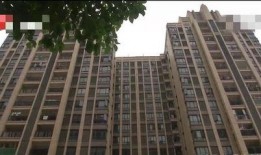 清远清新区爆料事件最新,真相揭开，疑云散去，社区安宁重归