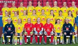 瑞典女足爆料最新消息,揭秘赛场幕后故事与备战动态