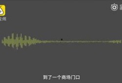 徐小平最新爆料消息视频,揭秘创业圈幕后真相与行业动态