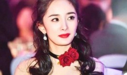 杨幂的最新爆料是什么,揭秘娱乐圈不为人知的秘密