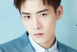 最新爆料任豪事件视频播放,真相与争议再引热议