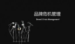 宋清辉最新爆料,揭秘行业内幕，深度剖析事件真相