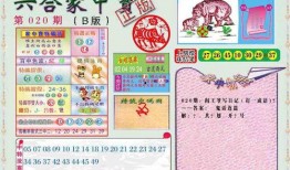 六合家中宝a最新爆料,揭秘神秘家族传承之谜