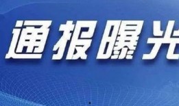 晨泉集团爆料最新消息视频,揭秘企业动态与未来战略